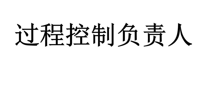 过程控制负责人